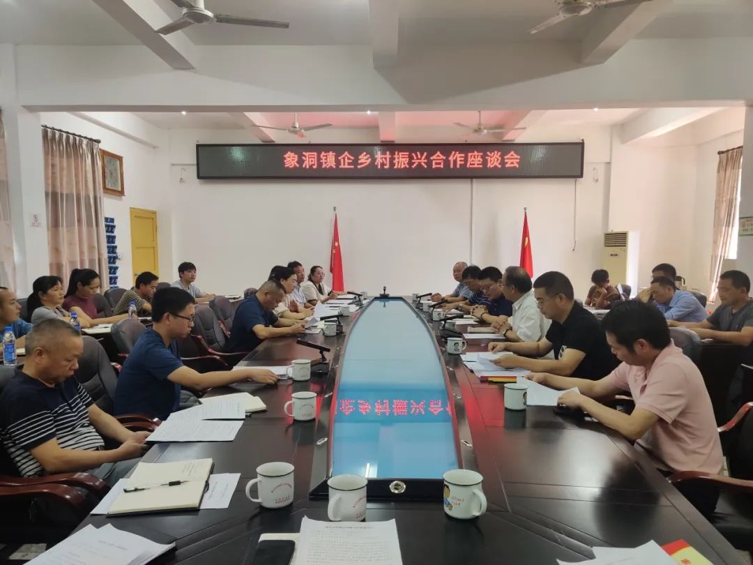 构建乡村新格局，，政企携手促振兴