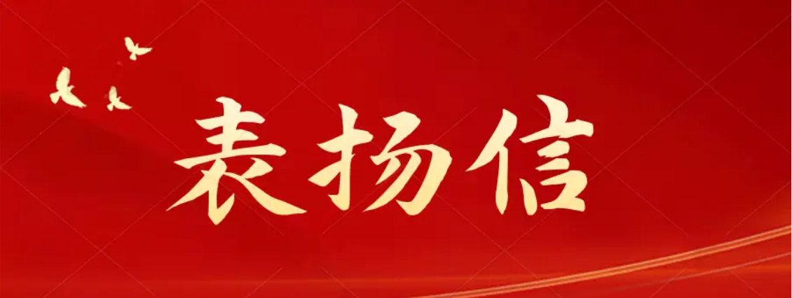 彰显卓越监理水平丨唐河复航一期项目尊龙时凯监理服务获业主表扬